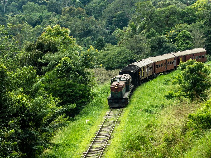 Balade en train au Sri Lanka